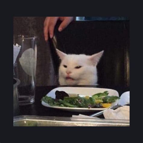 Cat At The Table Meme Cat Sitting At Table Salad Meme
